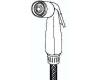Delta RP17786BS Biscuit Spray & Hose Assembly