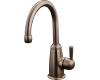 Kohler K-6665-F-BX Wellspring Vibrant Brazen Bronze Beverage Faucet with Water Filter System