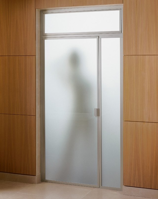 Kohler Purist K702222D4NX Brushed Nickel Steam Shower Door with In