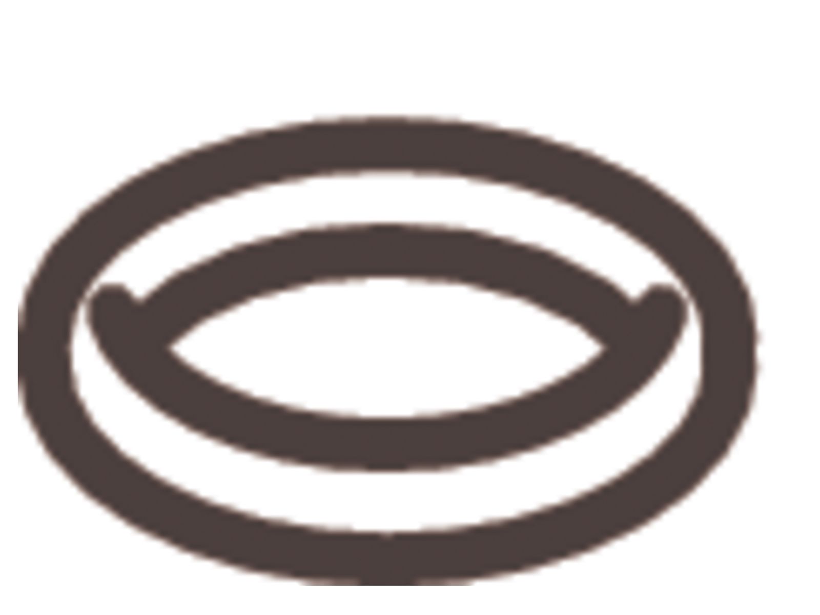 Kohler 77955 Part ORing AffordableFaucets