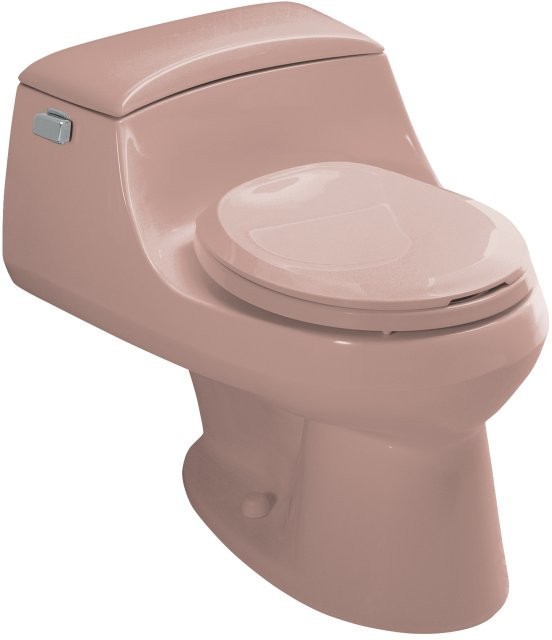 Kohler San Raphael K346745 Wild Rose OnePiece RoundFront Toilet