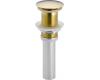 Brizo RP52488BB Modern Brilliance Brass Push Button Pop-Up without Overflow