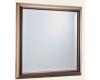 Brizo 69880-BZ Vesi Brilliance Brushed Bronze Wall Mirror