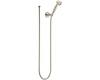 Brizo RP41202PN Vesi Brilliance Polished Nickel Wallmount Handshower