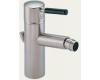 Brizo 6314531-BN Quiessence Brushed Nickel Single Handle Bidet Faucet