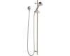 Brizo 6975102-BN Quiessence Brushed Nickel Slide Bar Hand Shower