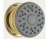 Brizo RSVP RP34836BB Brilliance Brass Body Spray
