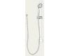 Brizo RP36003BB Total Escape Brilliance Brass Slide Bar Hand Shower