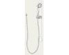 Brizo RP36003SN Total Escape Satin Nickel Slide Bar Hand Shower