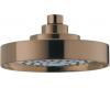 Brizo RP44013BZ Total Escape Brilliance Brushed Bronze Raincan Showerhead