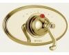 Brizo T66410-BB Total Escape Brilliance Brass Rope Lever Thermostatic Valve Trim