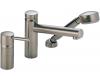 Brizo 67214-BN Quiessence Brushed Nickel Roman Tub with Handshower - Trim Only