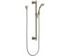 Brizo 85785-BN Charlotte Brilliance Brushed Nickel Handshower With Slidebar