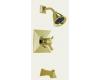 Brizo T60440-BB Vesi Brilliance Brass Thermostatic Tub & Shower Trim