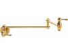 Danze D205057PBV Opulence Polished Brass Single Lever Handle Pot Filler Wall Mount