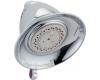 Delta RP64095 Victorian Chrome 5-Setting Water-Efficient Showerhead Delta RP64095 Victorian Chrome 5-Setting Water-Efficient Showerhead