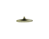 Delta RP52382PB Brilliance Polished Brass Touch Clean Rain Can Showerhead Delta RP52382PB Brilliance Polished Brass Touch Clean Rain Can Showerhead