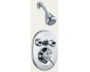 Delta Innovations 1824-74 Chrome Jetted Shower