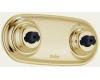 Delta T1817-PB Innovations Brilliance Polished Brass Jetted Shower XO Jet Module Trim