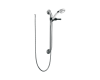 Delta RPW124HDF Other Finish Single Function Hand Shower With Grab Bar