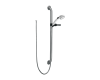 Delta RPW136HDF Other Finish Single Function Hand Shower With Grab Bar