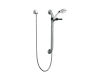 Delta RPW324HDF Other Finish Single Function Hand Shower With Grab Bar And Elbow