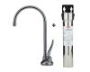 Franke DW5080-FRC Tulip Satin Nickel Beverage Faucet with Filtration System