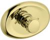 Grohe Grohtherm 19 229 R00 Polished Brass 3/4" Thermostatic Trim Kit with Grip Ring Handle