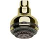 Grohe Relaxa Plus 28 275 R00 Polished Brass Top 4 Shower Head