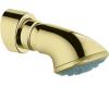 Grohe Movario 28 519 R00 Polished Brass Massage Shower Head with Shower Arm