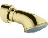 Grohe Movario 28 521 R00 Polished Brass 5 Shower Head with Shower Arm