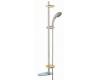 Grohe Movario 28 572 AR0 Satin Nickel/Polished Brass Shower System with Grohe Massage Hand Shower