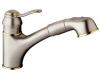 Grohe Ashford 32 459 AR0 Satin Nickel/Polished Brass Pull-Out Kitchen Faucet