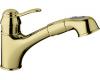 Grohe Ashford 32 459 R00 Polished Brass Pull-Out Kitchen Faucet