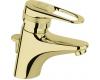 Grohe Europlus II 33 170 R00 Polished Brass Centerset Faucet with Pop-Up
