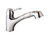 Grohe Ashford 32 459 00E  Kitchen Pull-Out - WaterCare