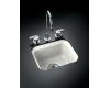 Kohler Northland K-6589-U-RR Ember Undercounter Entertainment Sink