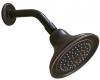 Kohler Devonshire K-10391-AK-BRZ Oil-Rubbed Bronze Single-Faucet Katalyst Showerhead