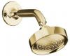 Kohler Purist K-14418-PGD Vibrant Moderne Polished Gold Single-Function Showerhead, Arm and Flange