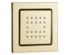 Kohler WaterTile K-8003-PGD Vibrant Moderne Polished Gold Square 22-Nozzle Bodyspray