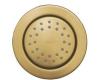 Kohler WaterTile K-8013-BGD Vibrant Moderne Brushed Gold Round 27-Nozzle Bodyspray