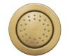 Kohler WaterTile K-8013-BGD Vibrant Moderne Brushed Gold Round 27-Nozzle Bodyspray