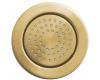 Kohler WaterTile K-8014-BGD Vibrant Moderne Brushed Gold Round 54-Nozzle Bodyspray