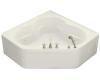 Kohler Tercet K-1160-LA-NY Dune Whirlpool with Integral Apron