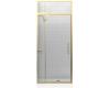 Kohler Lattis K-705805-L-ABV Anodized Brushed Bronze 1/4" Pivot Door with Transom