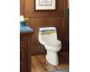 Kohler Whistling Straits K-14344-WS-47 Almond Design On Gabrielle One-Piece Comfort Height Toilet with Polished Chrome Trip Lever