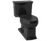 Kohler Archer K-3639-7 Black Black Class Five Elongated One-Piece Toilet, Less Supply