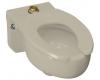 Kohler Stratton K-4450-C-G9 Sandbar Water-Guard Wall-Hung Toilet Bowl with Top Spud, Less Seat