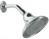 Kohler Devonshire K-10391-BRZ Oil-Rubbed Bronze Single-Function Showerhead