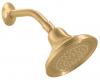 Kohler Devonshire K-10391-BV Vibrant Brushed Bronze Single-Function Showerhead